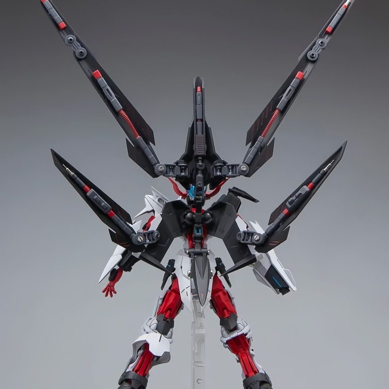 HG 1/144 Astray No-Name Astray - Model Kit Rg 评论和价格