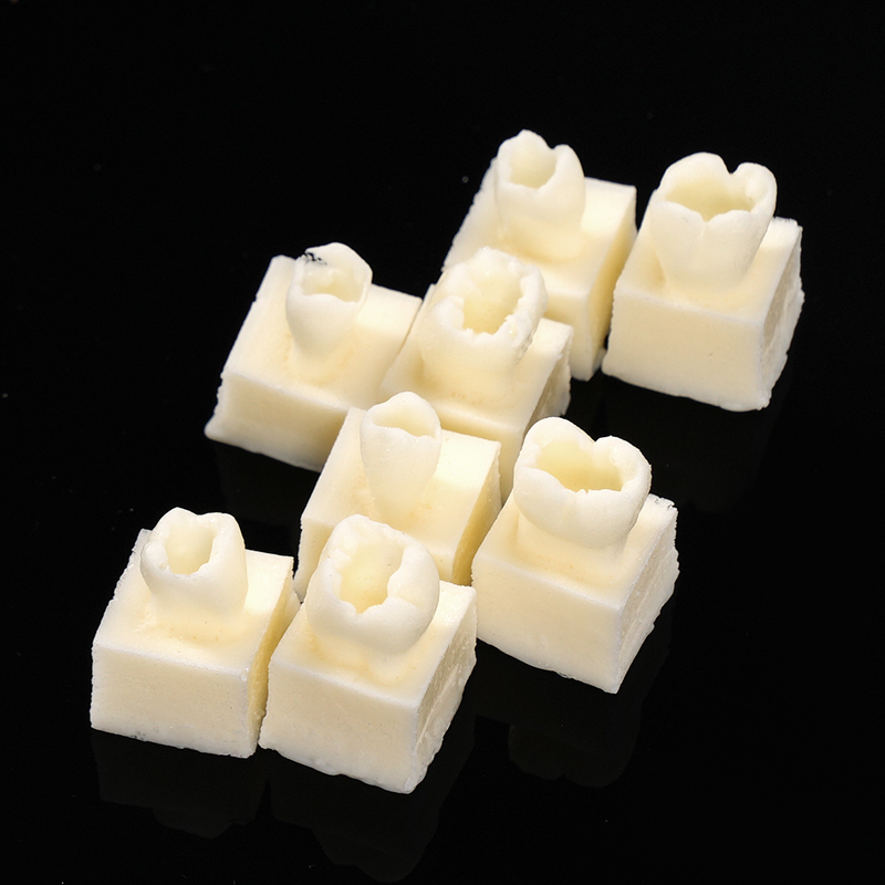 8pcs/set Dental Resin Filling  - Model Kit Tool 评论和价格