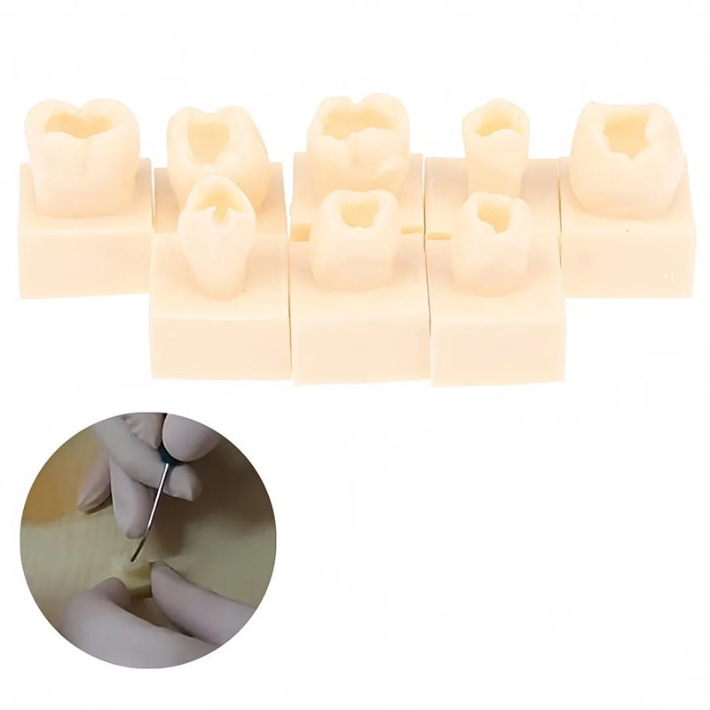8pcs/set Dental Resin Filling  - Model Kit Tool 评论和价格