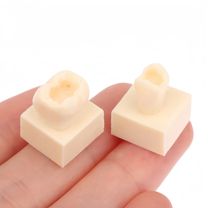 8pcs/set Dental Resin Filling  - Model Kit Tool 评论和价格